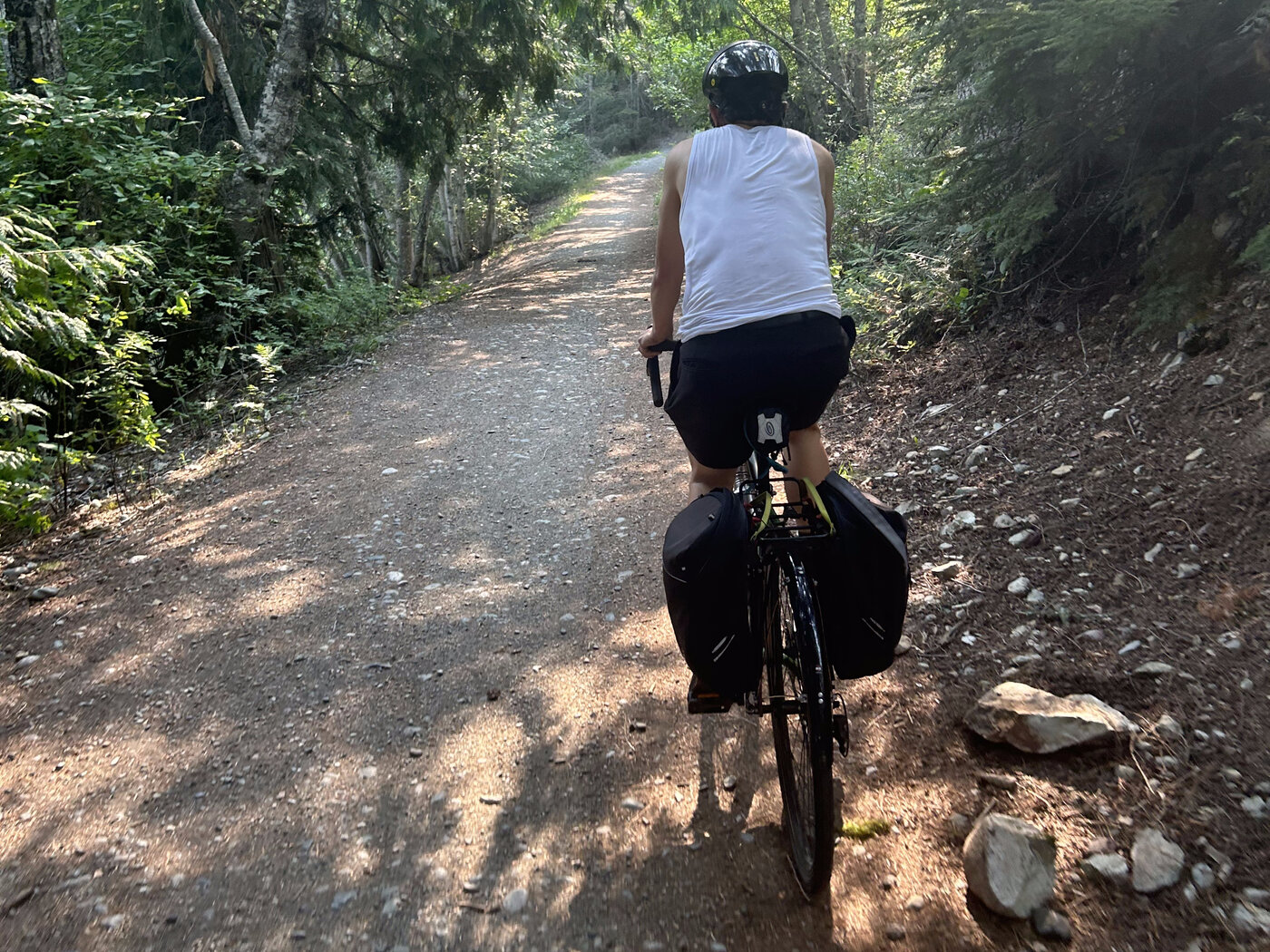 A quiet dirt stretch of trail deep in the forest during a Peak Pedal Brews tour